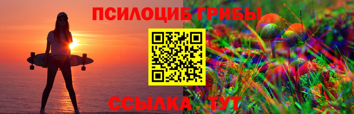 Псилоцибиновые грибы GOLDEN TEACHER  Вход с VPN  Куйбышев 