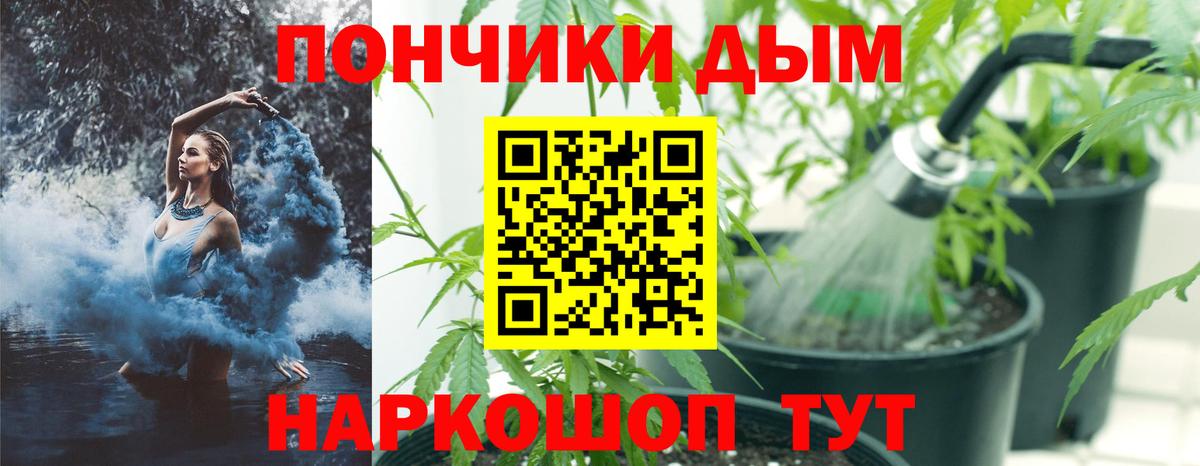 Шишки марихуана конопля  Каннабис план  Куйбышев  Вход с VPN  Конопля сатива  МАРИХУАНА индика 